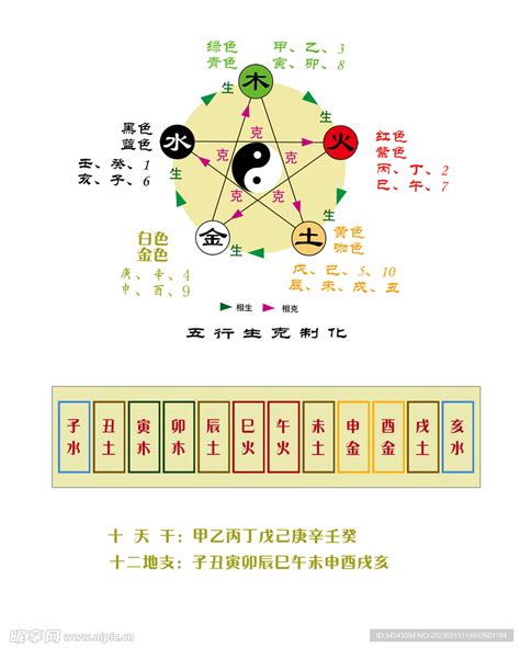 己五行|天干地支五行对照表 – 天干地支概念